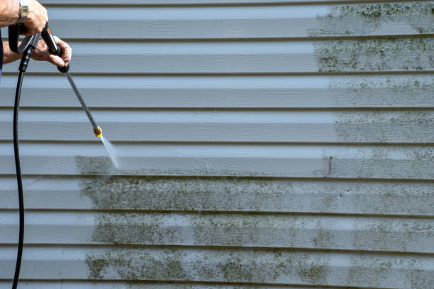Best Historical Building Siding Restoration  in Lanett, AL