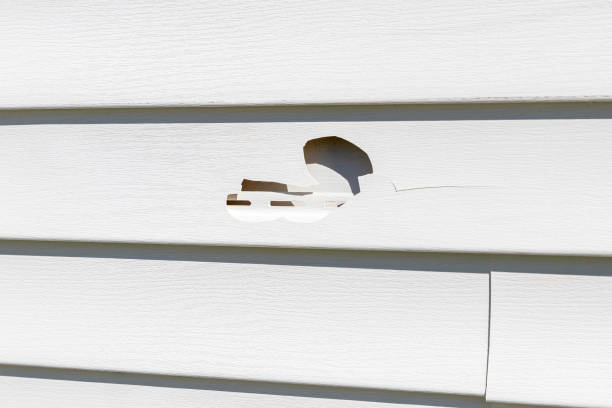 Affordable siding repair and maintenance services in Lanett, AL